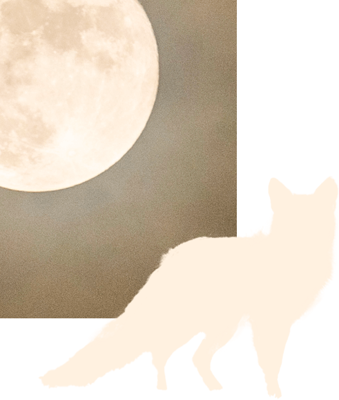 満月ときつね物語のイメージ