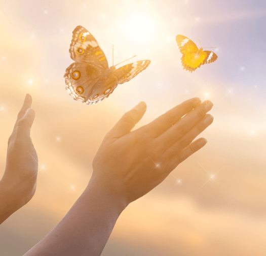 満月ときつね物語のイメージ